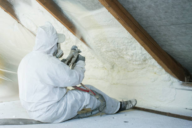 Best Blown-In Insulation  in Sealy, TX